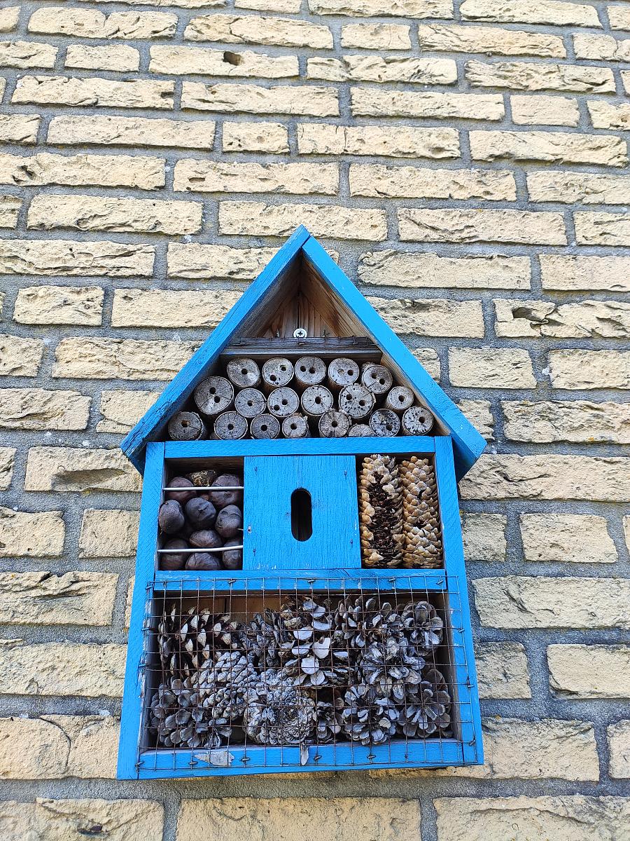 IKC De Lente